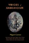 Voices of Gnosticism : Interviews with Elaine Pagels, Marvin Meyer, Bart Ehrman, Bruce Chilton and Other Leading Scholars - Book
