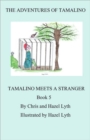 The Adventures of Tamalino : Tamalino Meets a Stranger Bk. 5 - Book