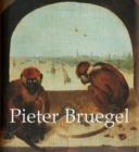 The Brueghels - Book