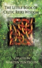 The Little Book of Celtic Reiki Wisdom - Book