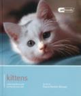 Kitten - Pet Friendly - Book