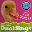 Little Noisy Books: Ducklings - Book
