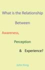 What is the Relationship Between Awareness, Perception & Experience? - Book