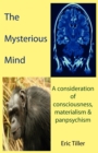 The Mysterious Mind : A Consideration of Consciousness, Materialism & Panpsychism - Book