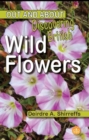 Discovering British Wild Flowers - Book