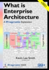 What is Enterprise Architecture : A Pragmatic Explanation - Book