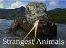 The World's Strangest Animals : Nature's Weird and Wonderful Creatures - eBook