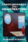 Consciousness and Imagination - Book