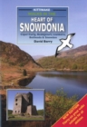 Walks in the Heart of Snowdonia - Book
