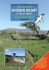 Walks in the Hidden Heart of North Wales - Between the Vale of Clwyd and the Snowdonia National Park - Book