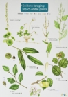 Guide to Foraging: Top 25 Edible Plants - Book