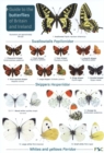 Guide to the butterflies of Britain and Ireland - Book