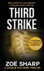 THIRD STRIKE : #07 - Book