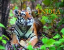 India: Land of Tigers and Temples - Book