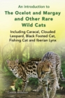 An Introduction to the Ocelot and Margay and Other Rare Wild Cats Including Caracal, Clouded Leopard, Black Footed Cat, Fishing Cat and Iberian Lynx - Book