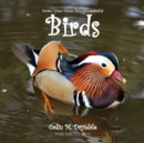 Draw Your Own Encyclopaedia Birds - Book