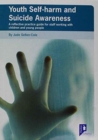 Youth Self-Harm and Suicide Awareness : A Reflective Practice Guide for Staff Working with Children and Young People - Book