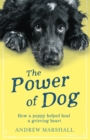 The The Power of Dog : How a Puppy Helped heal a Grieving Heart - Book
