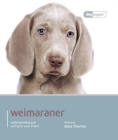Weimaraner : Dog Expert - Book