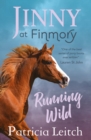 Jinny at Finmory : Running Wild - Book