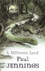 A Different Land - Book