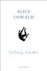 Falling Awake - Book