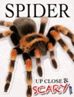 Up Close & Scary Spider - Book