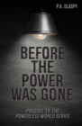 Before the Power Was Gone - Book