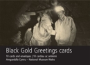 Black Gold Pit Pony and Ostler Card Pack - Book