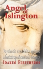 Angel of Islington - Book