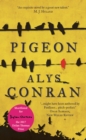 Pigeon - eBook