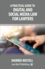 A Practical Guide to Digital and Social Media Law for Lawyers - Book