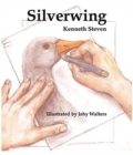 Silverwing - Book