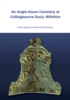 An Anglo-Saxon Cemetery at Collingbourne Ducis, Wiltshire - eBook