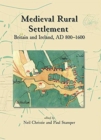 Medieval Rural Settlement : Britain and Ireland, AD 800-1600 - Book
