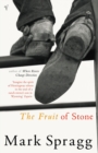 The Fruit of Stone - Book