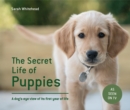 The Secret Life of Puppies : A dog's-eye view of its first year of life - Book