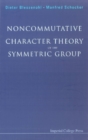 Noncommutative Character Theory Of The Symmetric Group - eBook