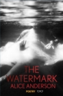 The Watermark - Book
