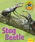 Wildlife Watchers: Stag Beetle - Book
