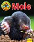 Wildlife Watchers: Mole - Book