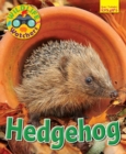 Wildlife Watchers: Hedgehog - Book