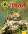 Wildlife Watchers: Toad - Book