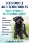 Schnoodle and Schnoodles : Your Perfect Schnoodle Guide Includes Schnoodle Puppies, Giant Schnoodles, Finding Schnoodle Breeders, Temperament, Miniature Schnoodles, Care, & More! - Book