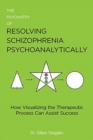 The Psychiatry of Resolving Schizophrenia Psychoanalytically : How Visualizing The Therapeutic Process Can Assist Success - Book