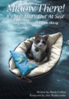 Miaow There! It's Still Misty Out at Sea! : The Celebrity Cat's Latest (B)Log - Book