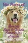 The Power of Bailey, Bach and Verbeia Essences for Animals - eBook