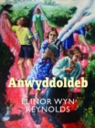 Anwyddoldeb - Book