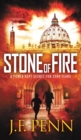 Stone of Fire - Book