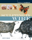 Sculpting in wire - Book